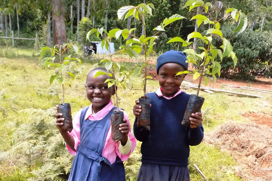 Volontariato in Kenya con Mount Kenya Environmental Conservation