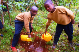 Volontariato in Kenya con Mount Kenya Environmental Conservation