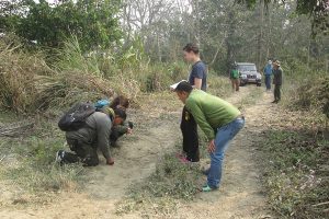 Volontariato in Nepal con Nepal Tiger Trust