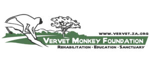 Volontariato in Sudafrica con Vervet Monkey Foundation