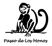 Volontariato in Ecuador con Paseo de los Monos