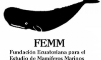 Volontariato in Ecuador con FEMM
